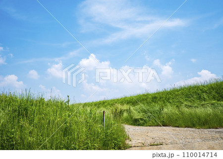 田舎 草原 高原 イメージ 110014714