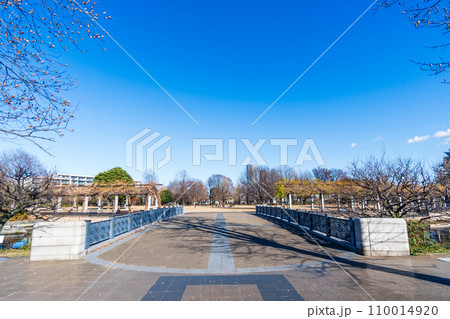 東京都　都立武蔵国分寺公園　円形広場 110014920