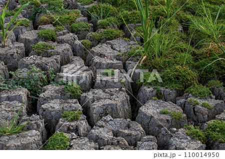 Dry cracked earth background, Global warming, climate change concept. 110014950