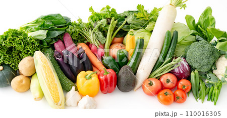 野菜 集合 農作物 野菜 集合 農作物 110016305