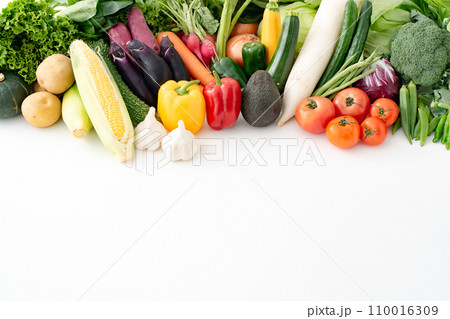 野菜　集合　農作物 110016309
