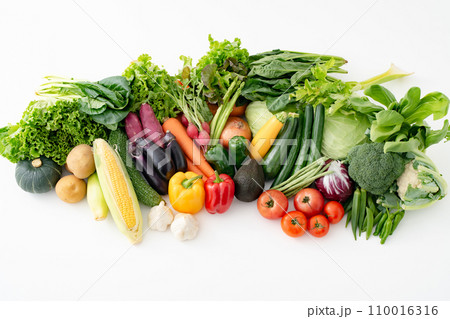 野菜 集合 農作物 野菜 集合 農作物 110016316