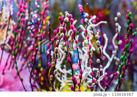 Colorful willow branches as decor for a spring or easter day Colorful willow branches as decor for a spring or easter day 110016367