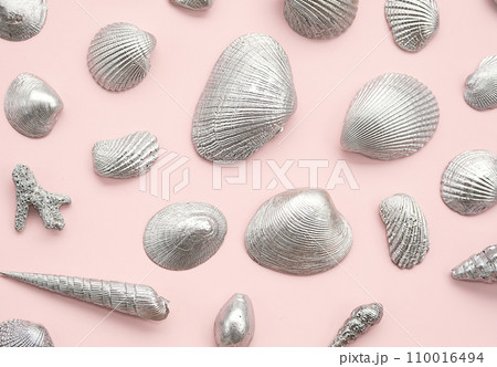 Silver sea shells arrange on pink. 110016494