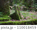 苔むした石 110018459