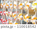たくさんの風車 110018542