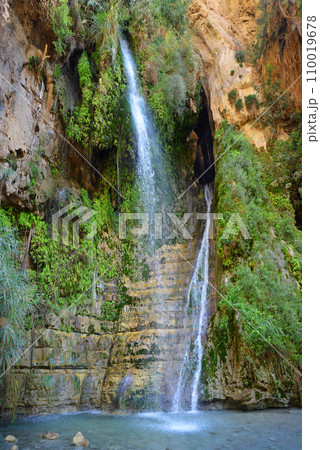 David Waterfall in rocks Ein Gedi. Israel 110019678