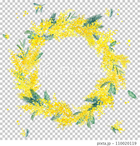 Circular decorative frame with mimosa watercolor illustration. Image background of "International Women's Day". Circular decorative frame with mimosa watercolor illustration. Image background of "International Women's Day". 110020119