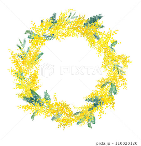ミモザの水彩イラストの円形装飾フレーム。『国際女性デー』のイメージ背景。 110020120