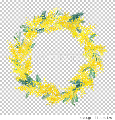 Circular decorative frame with mimosa watercolor illustration. Image background of "International Women's Day". 110020120