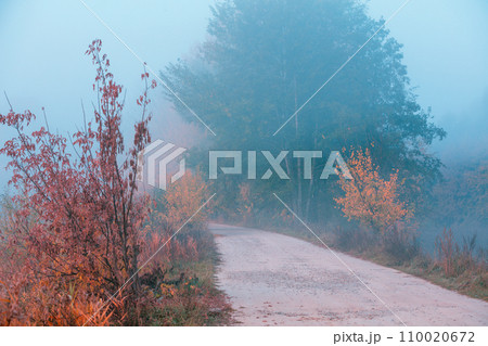 Country dirt road in the early misty autumn morning 110020672