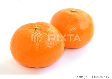 柑橘類(はれひめ) 柑橘類(はれひめ) 110020735