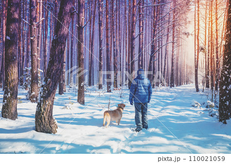 Man and dog are best friends. A man and a dog are walking along a road in a snowy forest on a winter sunny day 110021059