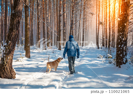 Man and dog are best friends. A man and a dog are walking along a road in a snowy forest on a winter sunny day Man and dog are best friends. A man and a dog are walking along a road in a snowy forest on a winter sunny day 110021065