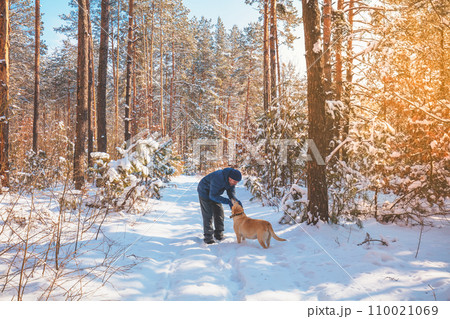 Man and dog are best friends. A man and a dog are walking along a road in a snowy forest on a winter sunny day 110021069