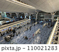 チェックインカウンターで出国手続きをする人たち 110021283