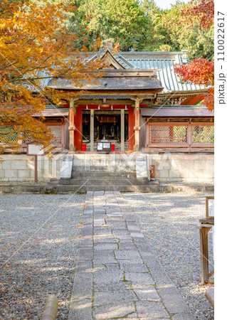 滋賀県大津市坂本の日吉東照宮 唐門と紅葉 滋賀県大津市坂本の日吉東照宮 唐門と紅葉 110022617