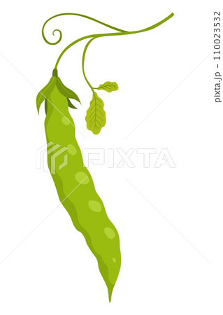 Green pea pod. Vegetable icon. Element for packaging and menu design. Natural green healthy eco product. Vector illustration Green pea pod. Vegetable icon. Element for packaging and menu design. Natural green healthy eco product. Vector illustration 110023532