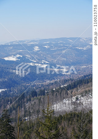 Valley at Silesian Beskid near European Szczyrk town in Poland - vertical 110023758