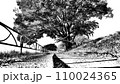大きな木の下の遊歩道 110024365