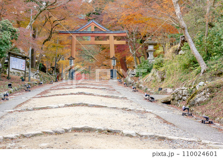 滋賀県大津市坂本の日吉大社 山王鳥居と紅葉 滋賀県大津市坂本の日吉大社 山王鳥居と紅葉 110024601