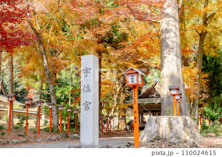 滋賀県大津市坂本の日吉大社 摂社 宇佐宮の紅葉 滋賀県大津市坂本の日吉大社 摂社 宇佐宮の紅葉 110024615