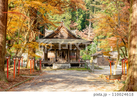 滋賀県大津市坂本の日吉大社　摂社　宇佐宮　拝殿と紅葉 110024618