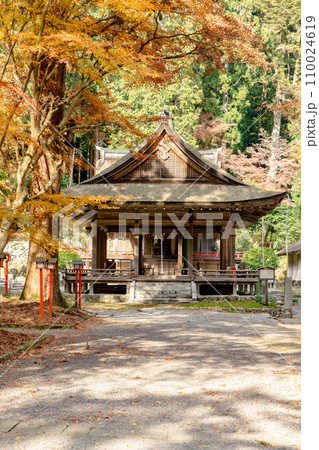 滋賀県大津市坂本の日吉大社　摂社　宇佐宮　拝殿と紅葉 110024619