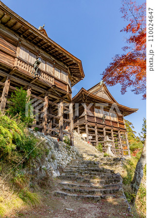 滋賀県大津市坂本の日吉大社 摂社 牛尾神社(重要文化財) 滋賀県大津市坂本の日吉大社 摂社 牛尾神社(重要文化財) 110024647