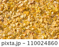一面に敷き詰められたイチョウの葉 110024860