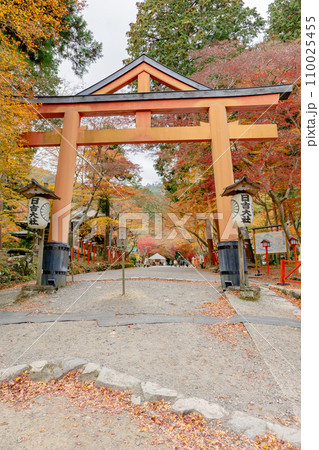 滋賀県大津市坂本の日吉大社 山王鳥居と紅葉 滋賀県大津市坂本の日吉大社 山王鳥居と紅葉 110025455