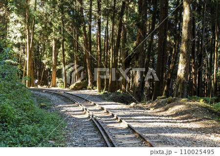 The old forest railway section of the Shuishan Trail at Alishan Forest Recreation Area in Chiayi, Taiwan. Now obsolete and unable to operate. The old forest railway section of the Shuishan Trail at Alishan Forest Recreation Area in Chiayi, Taiwan. Now obsolete and unable to operate. 110025495