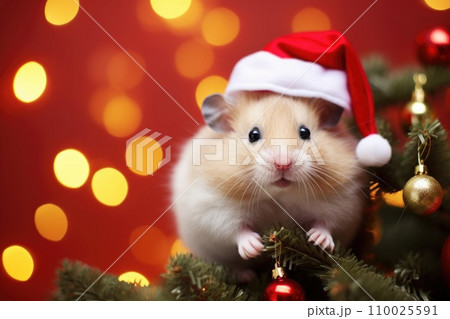 Hamster in santa hat and christmas tree with bokeh background Hamster in santa hat and christmas tree with bokeh background 110025591