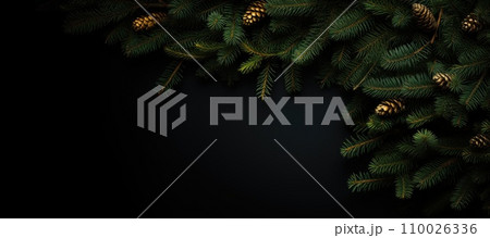 Background of green dark texture spruce christmas tree branches with cones Background of green dark texture spruce christmas tree branches with cones 110026336