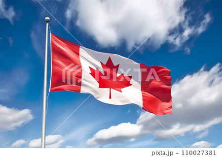 カナダ国旗のイメージ01 110027381