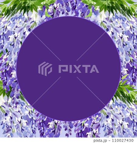 watercolor round frame with branch of wisteria blossom flowers, hand drawn illustration with spring lilac flowers, blue plant on purple background 110027430