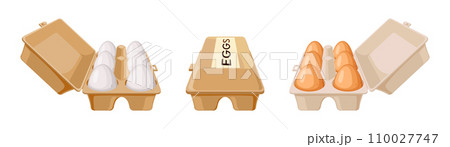 Chicken eggs on trays color vector icon set on white 110027747