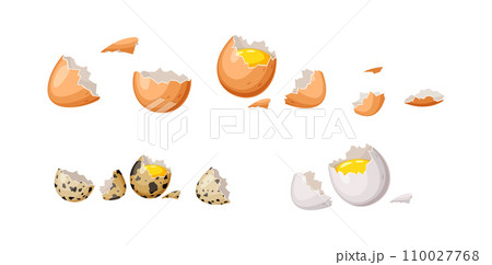 Broken eggs with shell color vector icon set on white 110027768