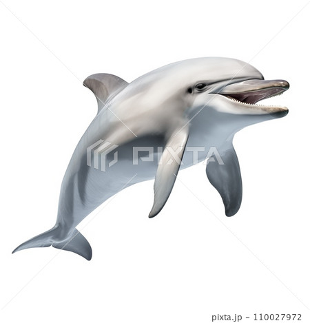 AI-generated content. A swimming dolphin is cut out on a transparent background. Dolphin swims on a white background. Dolphin design element for insertion into aquarium design. 110027972