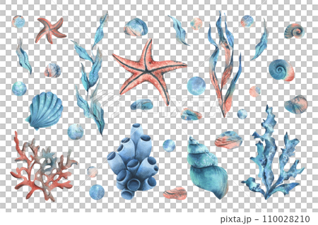 Underwater world clipart with sea animals starfish, shells, corals, sponge and algae, pebbles, bubbles. Hand drawn watercolor illustration. Big set objects on a isolated background. 110028210