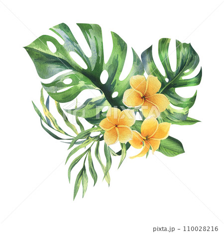 Tropical palm leaves, monstera and yellow flowers of plumeria, frangipani, bright juicy. Hand drawn watercolor botanical illustration. Isolated composition on a white background. Tropical palm leaves, monstera and yellow flowers of plumeria, frangipani, bright juicy. Hand drawn watercolor botanical illustration. Isolated composition on a white background. 110028216