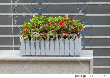 Plastic Flowers Picket Pot 110028737