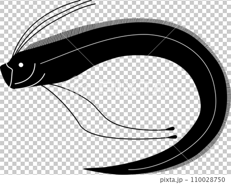 リュウグウノツカイのモノクロイラスト 110028750