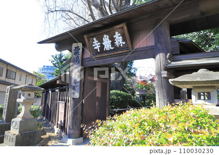 森巌寺（しんがんじ）　東京都世田谷区　 110030230