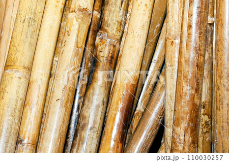 Bamboo cane 110030257