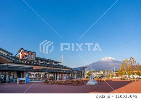 道の駅ふじおやま 道の駅ふじおやま 110033048