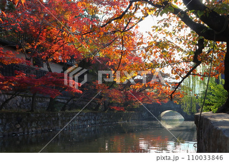 紅葉彩る晩秋の倉敷美観地区：倉敷川畔にて（岡山県倉敷市） 110033846