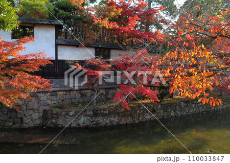 紅葉彩る晩秋の倉敷美観地区:倉敷川畔にて(岡山県倉敷市) 紅葉彩る晩秋の倉敷美観地区:倉敷川畔にて(岡山県倉敷市) 110033847