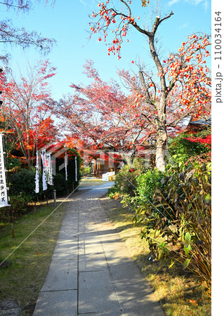 紅葉の風景　多聞院境内　所沢市　 110034164