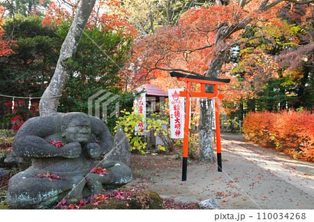 稲荷大明神 紅葉の風景 多聞院境内 所沢市 稲荷大明神 紅葉の風景 多聞院境内 所沢市 110034268